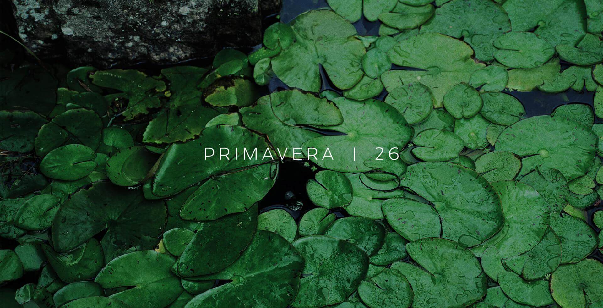 L.A Gestão de Marcas